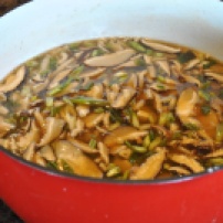 Vegan Hot and Sour Soup: https://vedgedout.com/2013/01/12/vedged-out-green-smoothie-day-6/